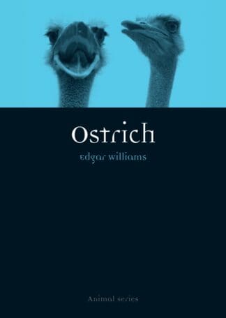 Ostrich (Paperback)