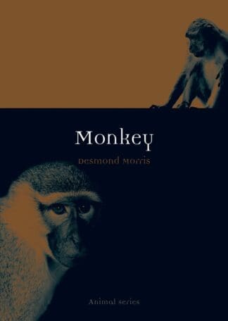 Monkey (Paperback)