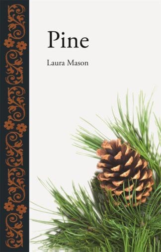 Pine (Hardback)