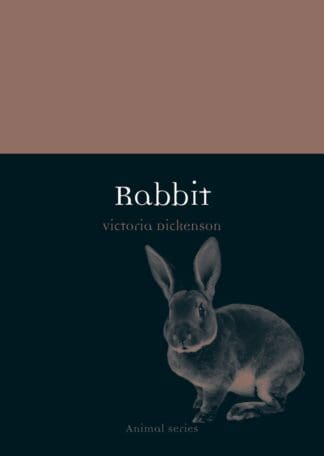 Rabbit (Paperback)
