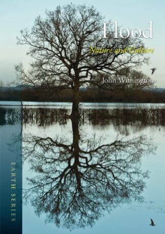 Flood (Paperback)