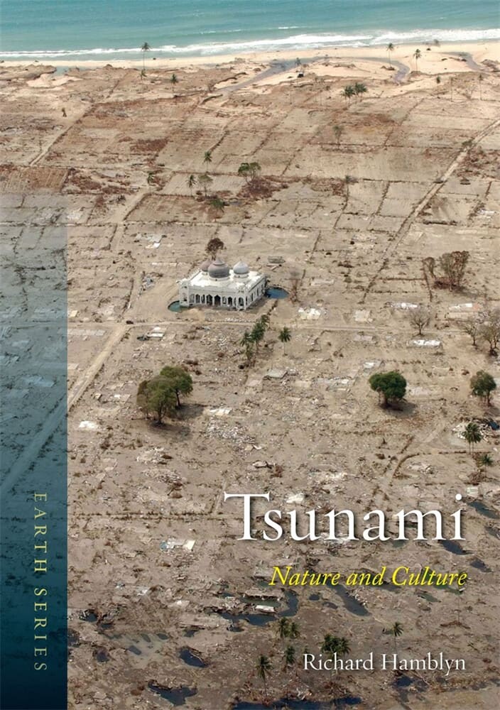 Tsunami (Paperback)
