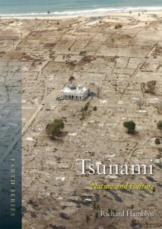 Tsunami (Ebook)