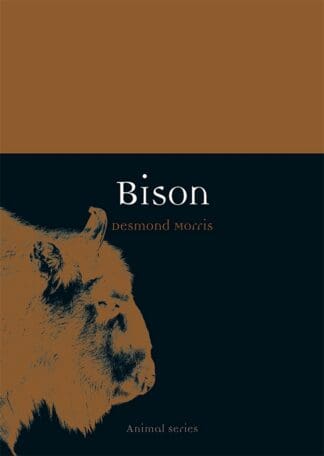 Bison (Paperback)