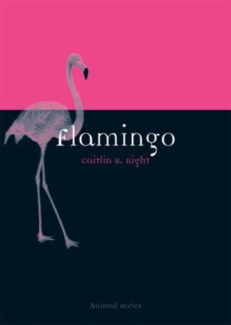 Flamingo (Paperback)