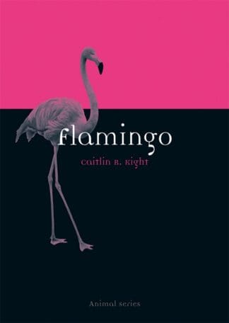 Flamingo (Ebook)