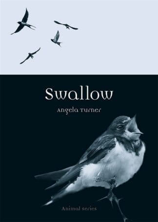 Swallow (Ebook)
