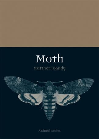 Moth (Paperback)