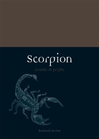 Scorpion (Paperback)