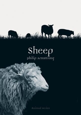 Sheep (Paperback)