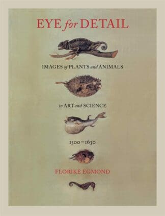 Eye for Detail (Ebook)