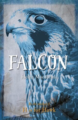 Falcon (Ebook)