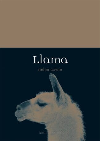 Llama (Ebook)
