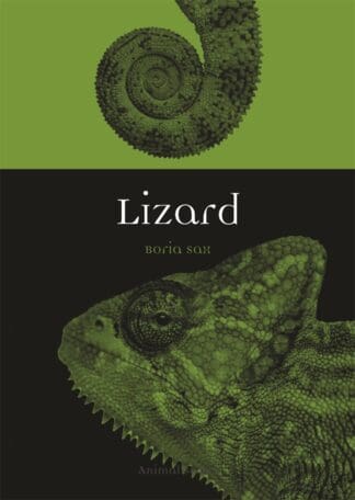 Lizard (Paperback)