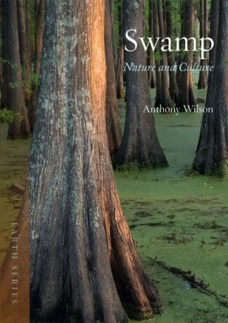 Swamp (Paperback)