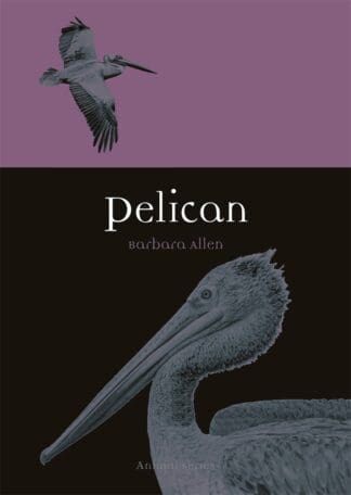 Pelican (Paperback)