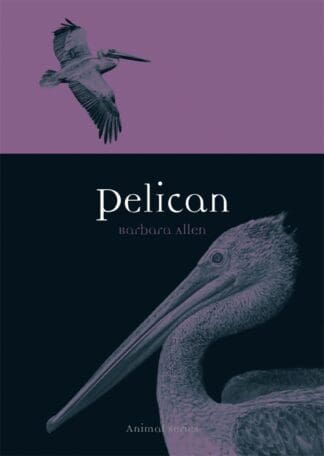 Pelican (Ebook)