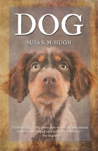 Dog (Paperback)