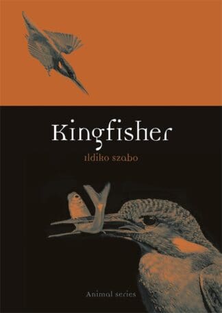 Kingfisher (Paperback)