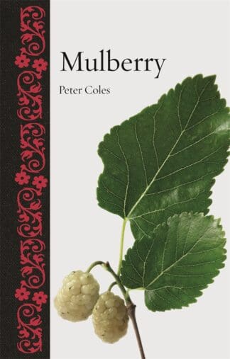 Mulberry (Hardback)