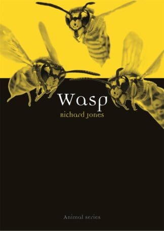 Wasp (Paperback)