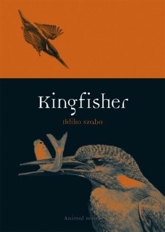 Kingfisher (Ebook)