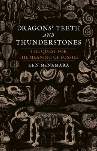 Dragons’ Teeth and Thunderstones (Ebook)