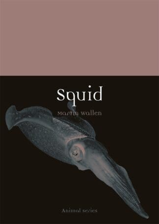 Squid (Paperback)