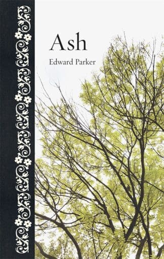 Ash (Ebook)