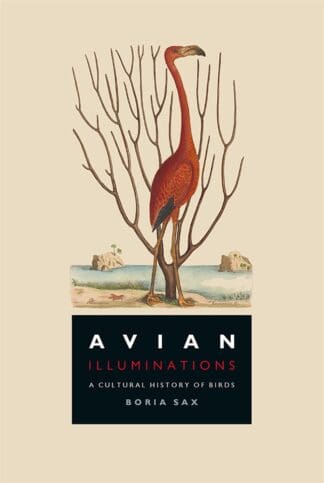 Avian Illuminations (Ebook)
