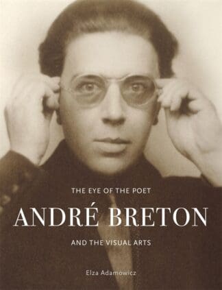 The Eye of the Poet (Hardback)