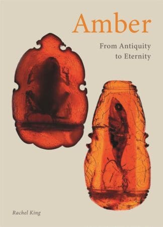 Amber (Hardback)