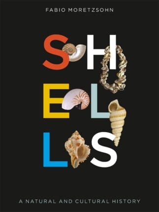 Shells (Hardback)