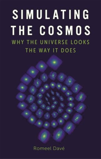 Simulating the Cosmos (Hardback)