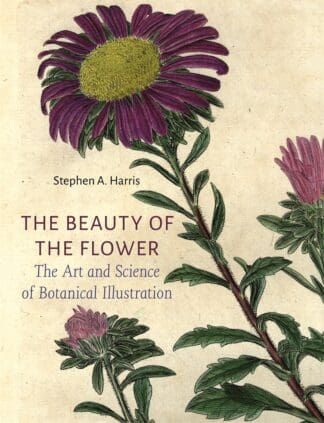 The Beauty of the Flower (Hardback)