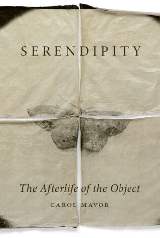 Serendipity (Hardback)
