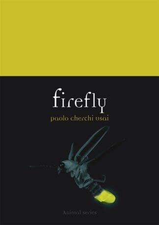 Firefly (Paperback)