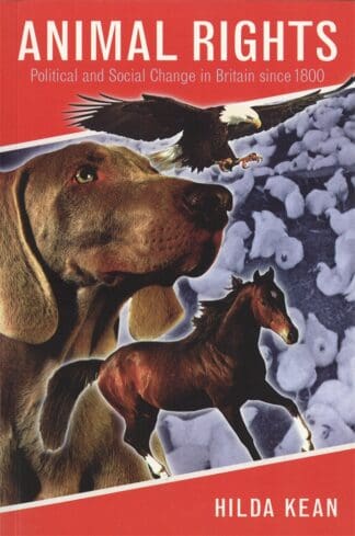 Animal Rights (Paperback)