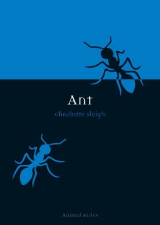 Ant (Paperback)