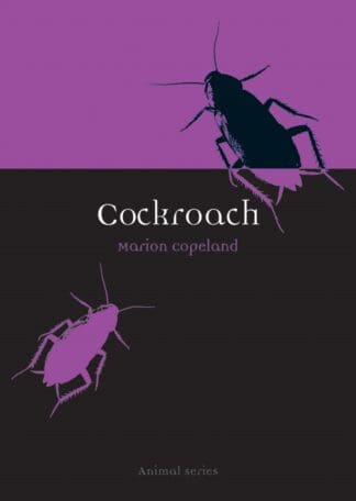 Cockroach (Paperback)