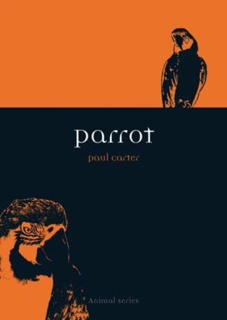 Parrot (Paperback)