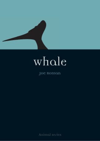 Whale (Paperback)