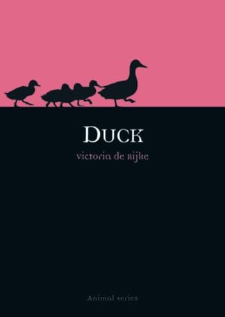 Duck (Paperback)