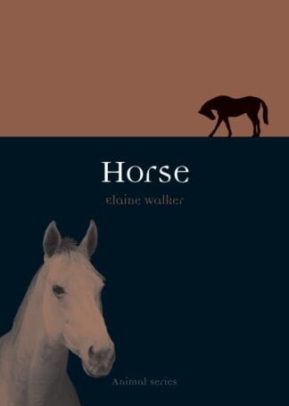 Horse (Paperback)