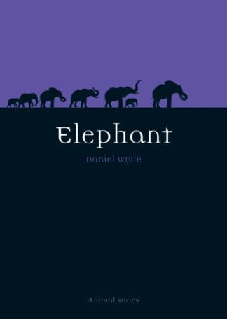Elephant (Paperback)