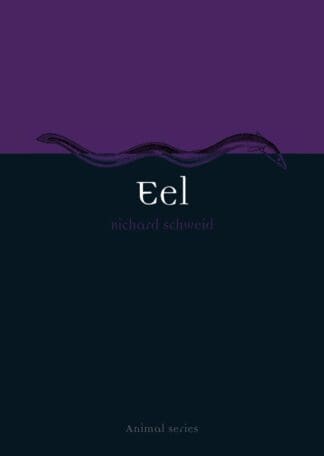 Eel (Paperback)