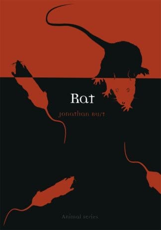 Rat (Ebook)