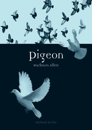 Pigeon (Paperback)