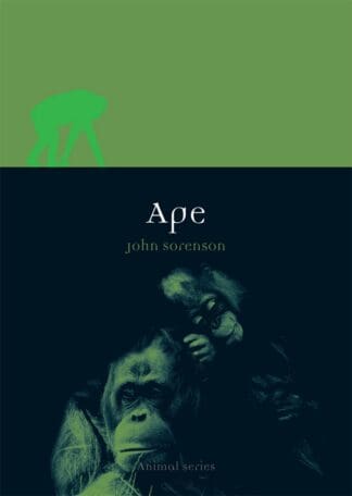 Ape (Ebook)