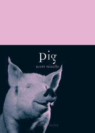 Pig (Paperback)